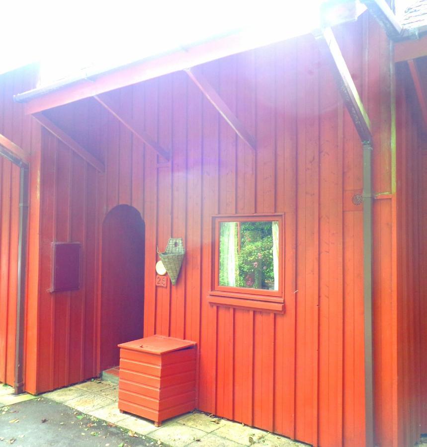 28 Yew Lodge Amroth Buitenkant foto